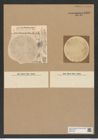 Diatomeae indet. Zeichnungen Sammlung Grunow Nr. 8209 (NHMW-BOT-W0377593)